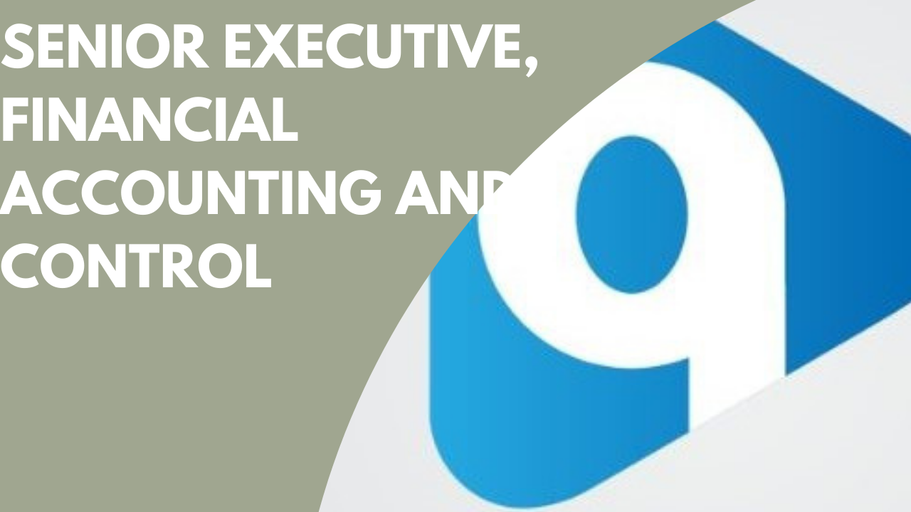 Senior Executive, Financial Accounting and Control