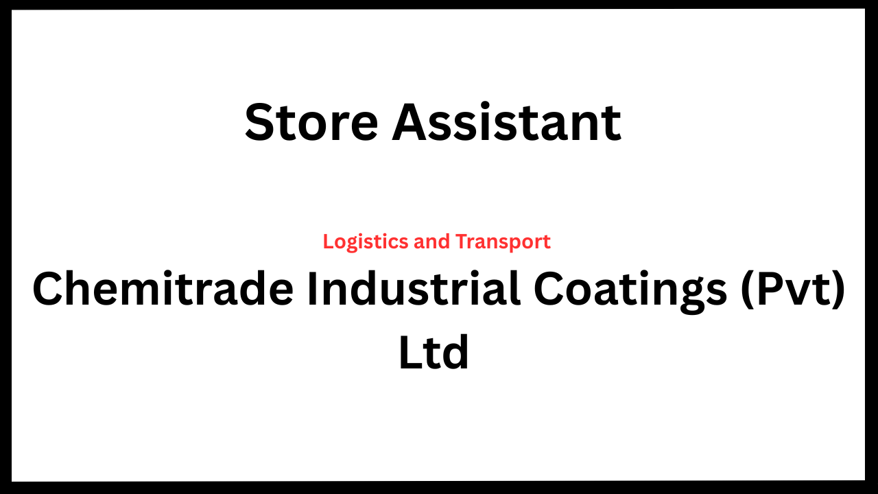 Store Assistant
